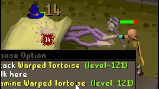 LOOT FROM 1000 WARPED TORTOISES/TERRORBIRDS