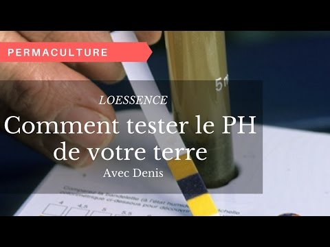 Vidéo: Comment tester mon kit pH du sol ?