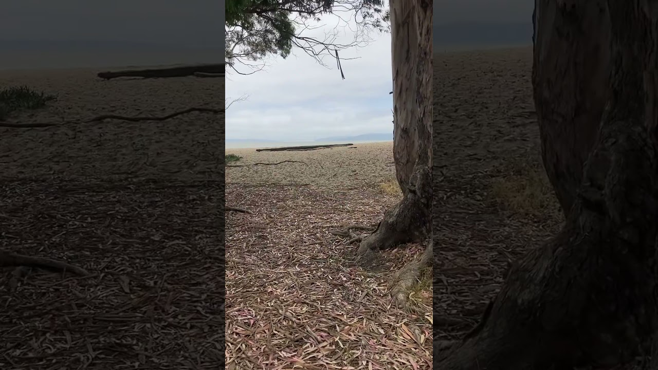 Albany Bulb, California