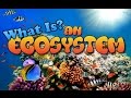 Understanding Ecosystems