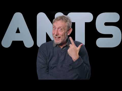 This Little Piggy (Hairy Tales) (Michael Rosen)