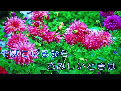 ときめきのルンバ冰川きよし唄.再興唱。