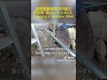 DIY井戸掘り ⑤