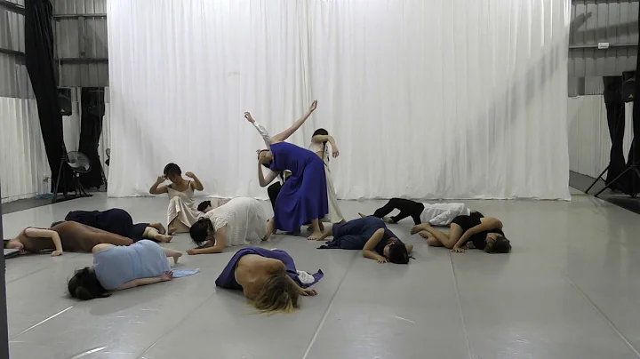 "Dear Pina..." Nina Dipla _Taiwan -Japan-Greece Artists