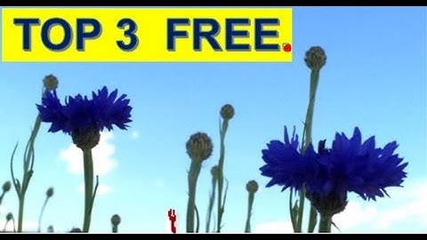 TOP 3 FREE File Compression see Tutorial