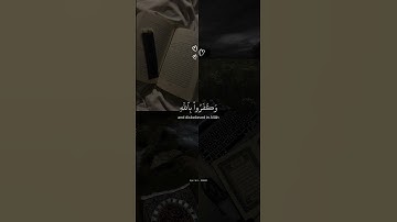 قل كفى بالله بيني وبينكم شهيدا || القارئ عبد الرحمن مسعد ارح قلبك وسمعك .