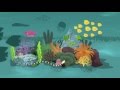 Biodiversity infomercial  corals