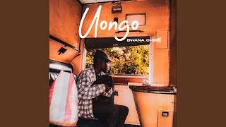 Uongo