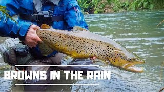 This is the last edit i have from my archives!! going back maybe a
couple of months ago and time went out targeting local browns. it r...