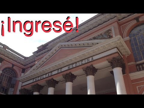 Cómo ingresé a