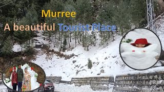 Murree Vlog |Nathia Gali |From Gujranwala to Murree |A Beautiful Tourist Place in Pakistan|Snow fall