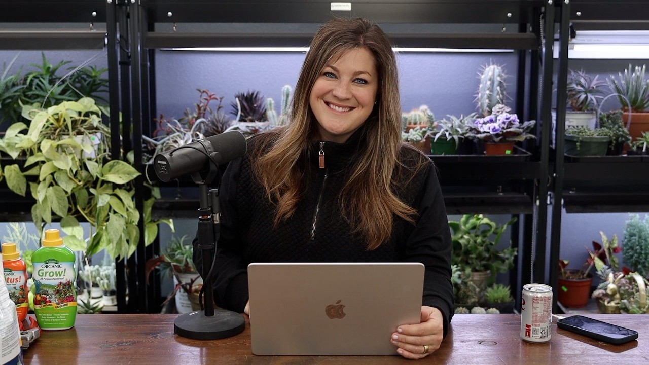 Update on the Fire in the Attic // Favorite Lavender? // Recap 🌿