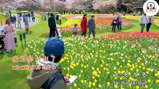 Bu Yao Yong Wo De Ai Lai Shang Hai Wo 不要用我的爱来伤害我