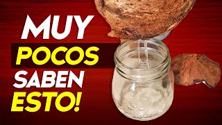 🥥 Lo que NADIE te explica del aceite de coco y cómo hacerlo 100% natural en casa