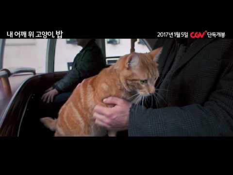 내 어깨 위 고양이, 밥(GV) 메인 예고