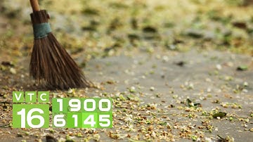 Giải pháp chống rụng quả sinh lý cho cây bưởi | VTC16