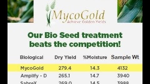 SabrEx, Graph-Ex Replacement
