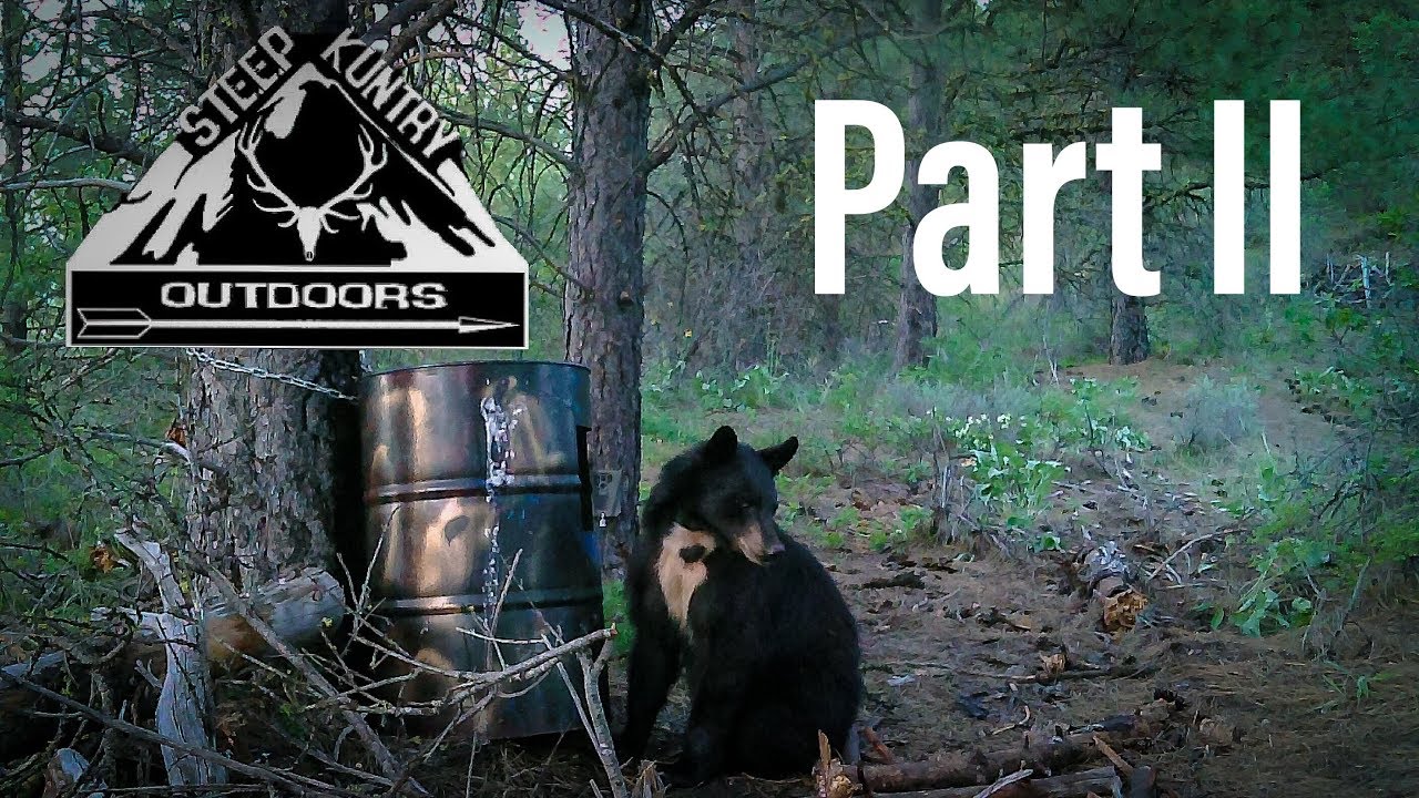 IDAHO SPRING BEAR PROJECT The Hunt Part II YouTube