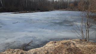 Поход в лес, увидели непонятные следы на снегу и решили быстро слинять🤣 #деревня#переезд