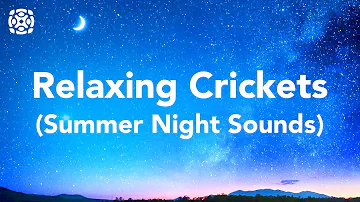 Night Time Summer Nature Sounds, Cricket Conversations For Sleeping 12 Hours