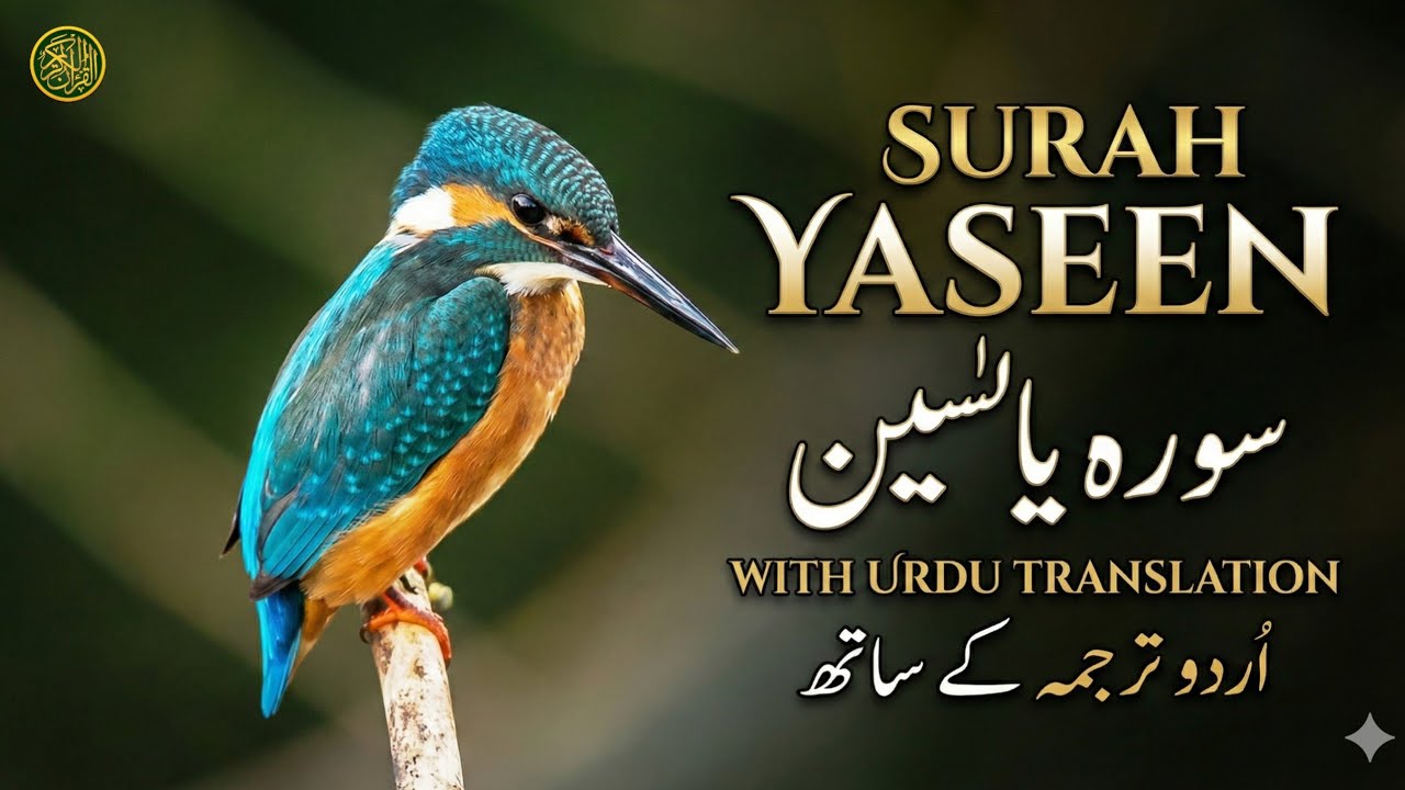 Surah Yaseen (سورة يس) - Beautiful Recitation with Urdu Translation | Qari Mansoor Ghaznavi | EPs 21