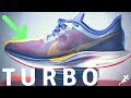 Nike Pegasus 35 Turbo Full and Detailed Review | Worth $180?