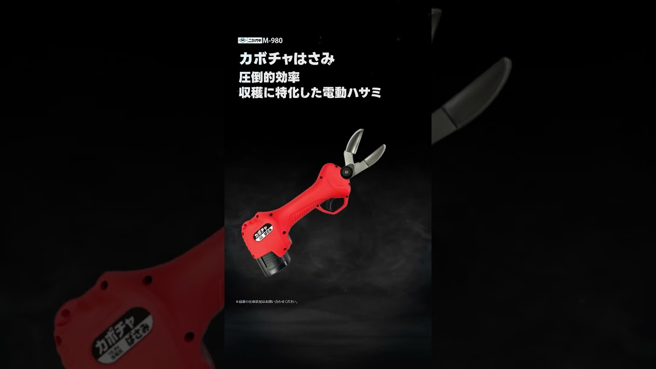 ニシガキ カボチャはさみ N-980【ウエダカナモノ】#ニシガキ #カボチャ