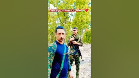 Cobra Commando ka lifestyle #crpf #Commando #cpo #ssc #sscgd  ♥️🇮🇳