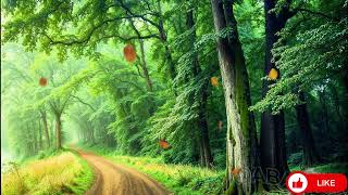 Calming Sleep Music – Drift Into Serenity & Beat Fatigue