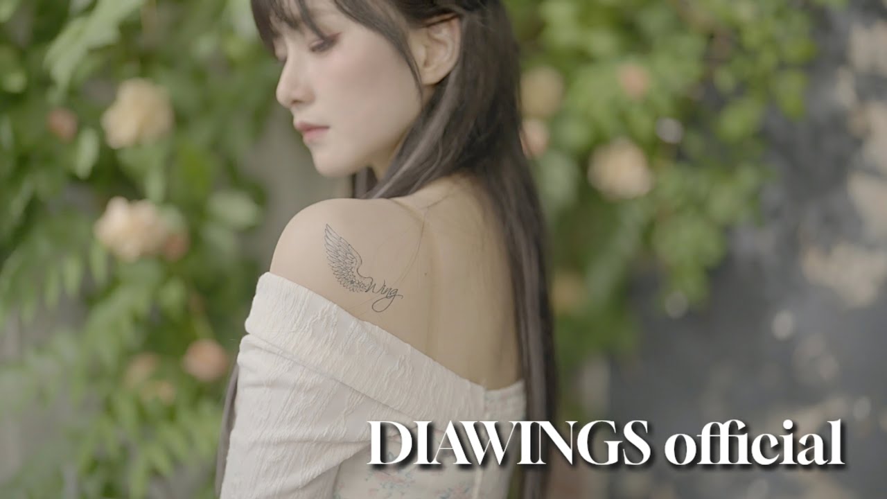 DIAWINGS - 'Me, Instrument' M/V