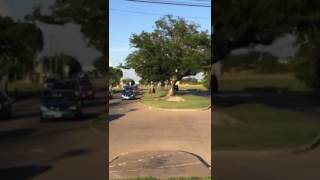 Horse N Rider On Bissonnet St. Houston Tx