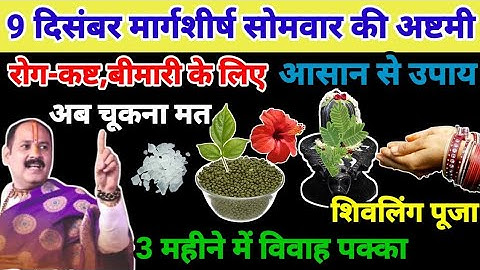 23 दिसंबर सोमवार की अष्टमी के दिन तीन बड़े उपाय#pradeep Mishra ji#somvar ki ashtami#ashtami upay