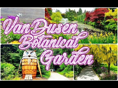 Vidéo: Jardin botanique VanDusen à Vancouver