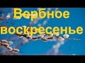 Вербное воскресенье: смысл праздника, что делать с вербой.