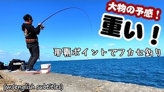 沖縄釣り Youtube