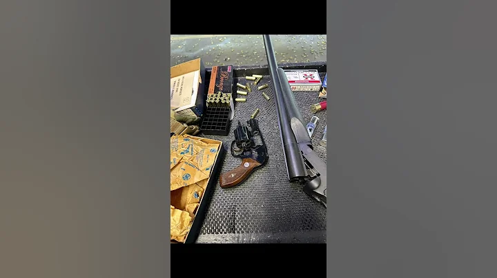 Smith & Wesson Bodyguard, Model 49, chambered in 38 Special.