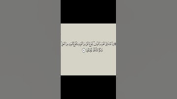 سورة الانعام . الاية 95  .القرآن الكريم .سعد الغامدي .[إِنَّ اللَّهَ فَالِقُ الْحَبِّ وَالنَّوَىٰ ۖ]