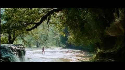 映画「きつねと私の12か月」予告