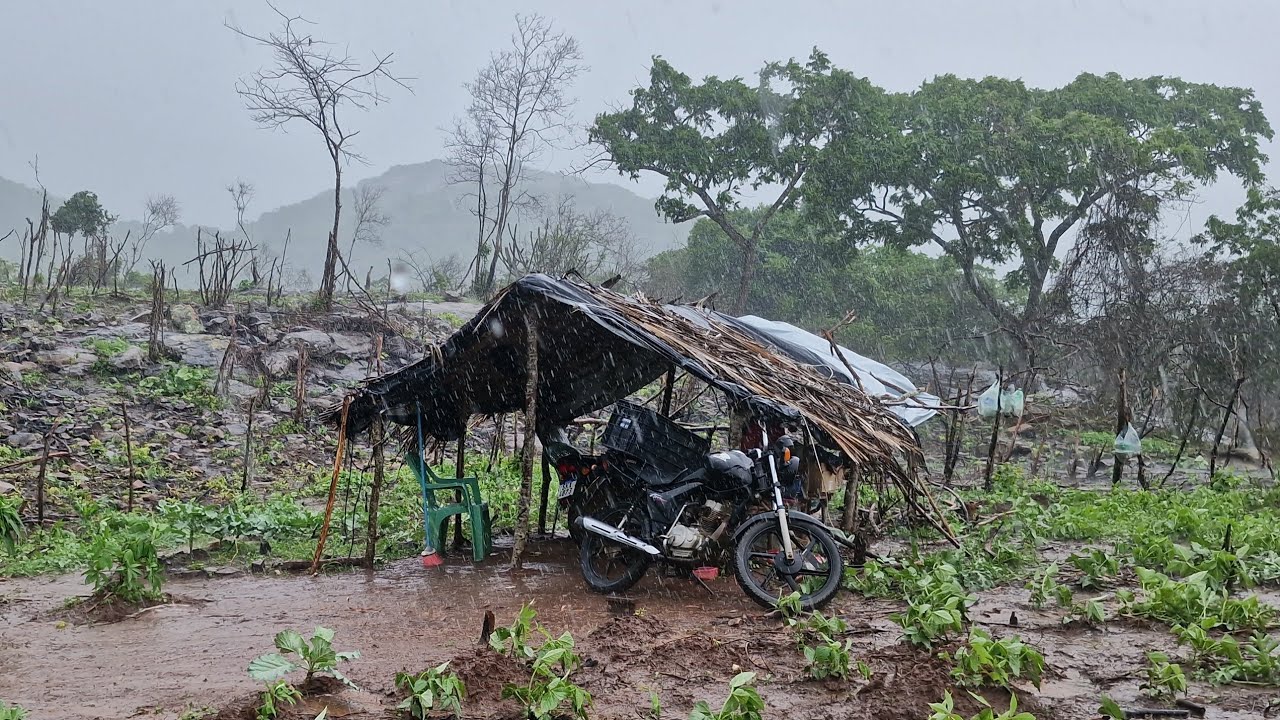 Caiu um Pé d'água 🌧⛈️ assustador com raios e trovão na roça do zezinho no agreste paraibano 