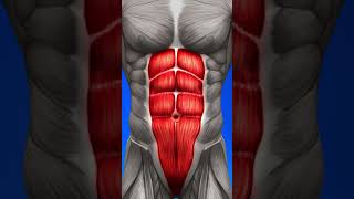 How To Lose Belly Fat Over 40 (THE TRUTH!)