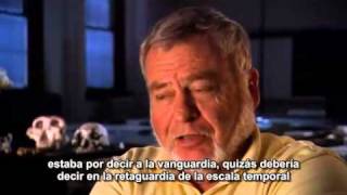 Nat Geo - The Changing Apes Part4/6.rmvb
