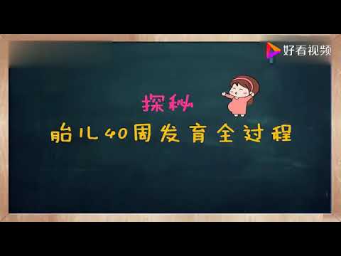 视频展现：胎儿在母体40周发育全过程,母婴育儿,孕产