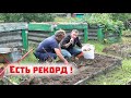 Собрали абсолютно рекордный урожай картофеля в грядах!