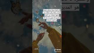 ستوريات شاشه سوداء بدون حقوق جاهزه ستوريات انستا/رقص بنات️تسجيل دخول فخم/رقص بنات ردح حالات واتس.