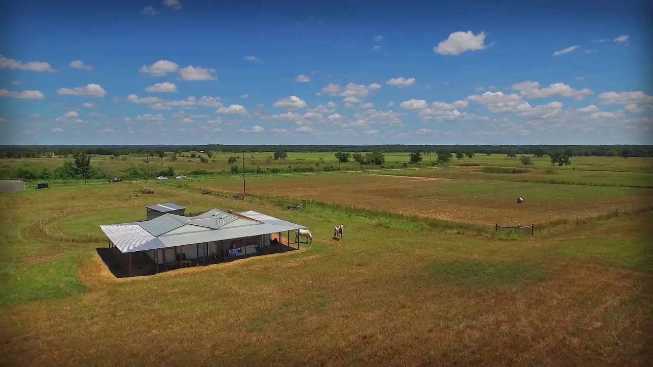 40 Acres in Lexington Texas YouTube