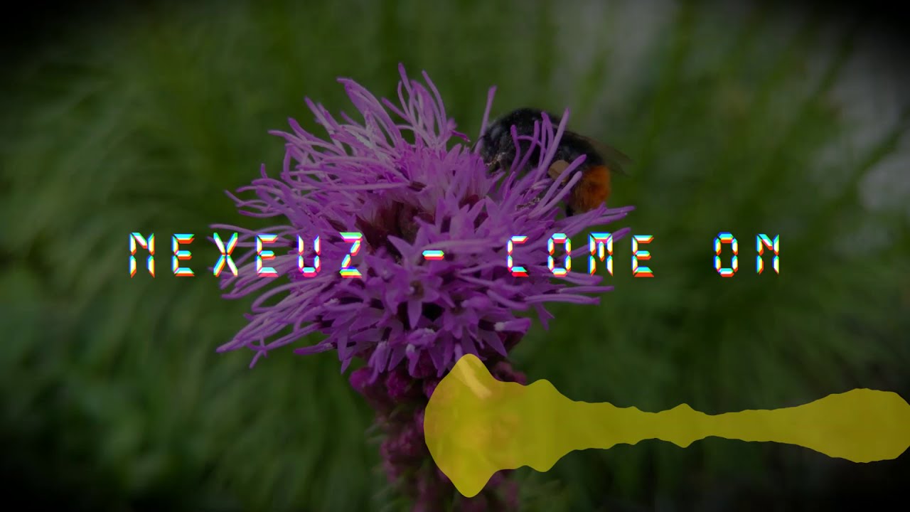 Nexeuz - Come on!