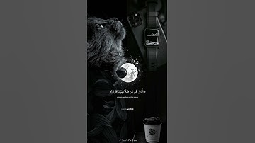 (أرأيت الذي يكذب بل دين)  عبدالرحمن مسعد سورة الماعون