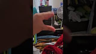 General Mills B Team Big G Cereals Satur-Yah Wednesday Shorts