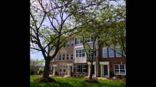 Search Luxury Real Estate in Northern Virginia | Fairfax County, Alexandria. www.walshteamrealty.com