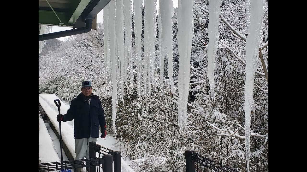 2025/2/10 氷柱（つらら）落とし - YouTube